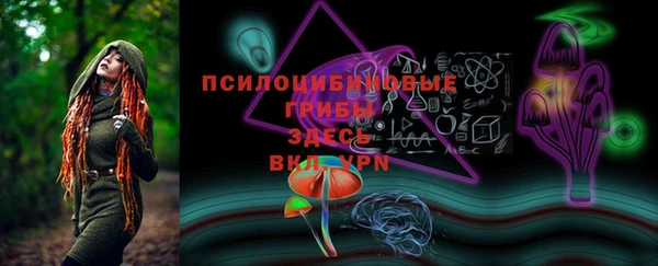 мдпв Новокубанск
