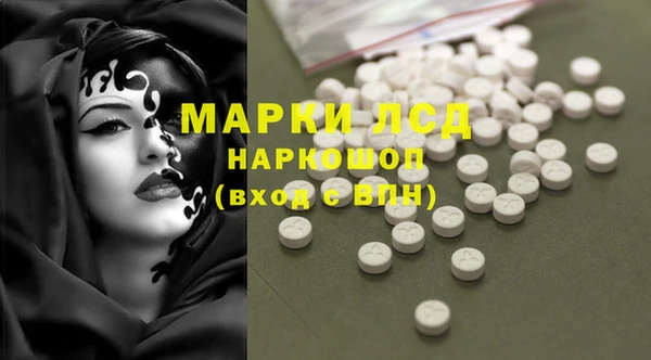 прущие крисы Новодвинск