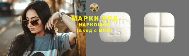 мдпв Новокубанск