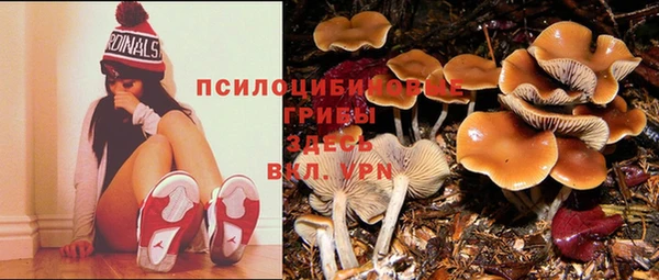 прущие крисы Новодвинск
