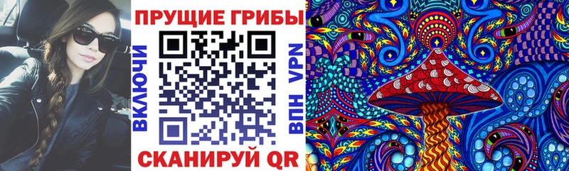 даркнет сайт Касли blacksprut ONION Галлюциногенные грибы Magic Shrooms