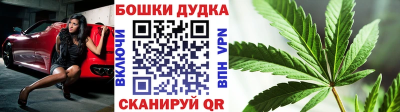 закладки Касли Шишки марихуана OG Kush